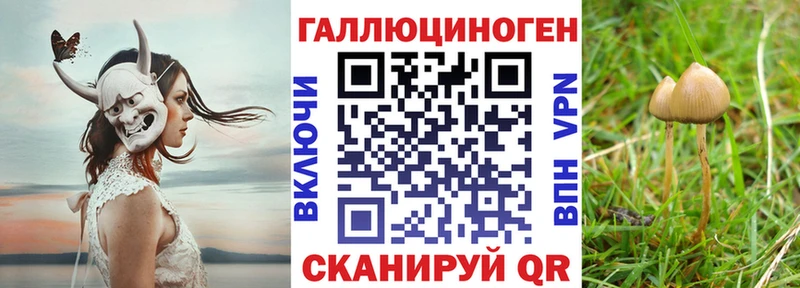 Псилоцибиновые грибы Cubensis  Павловский Посад 
