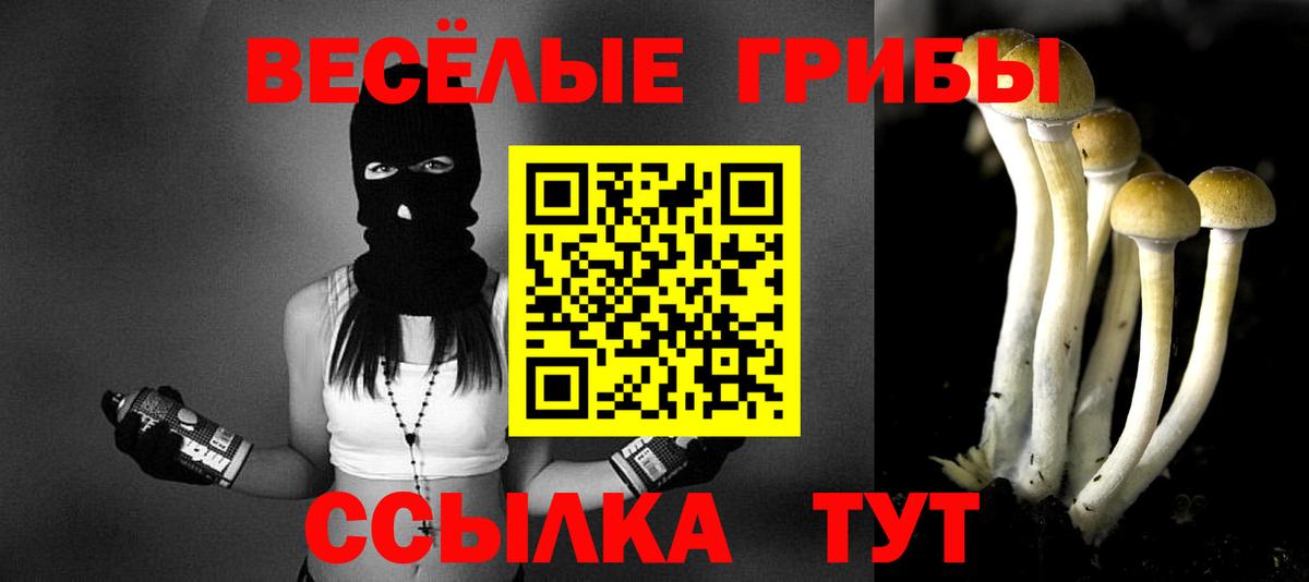 Псилоцибиновые грибы GOLDEN TEACHER  купить  цена  Павловский Посад 