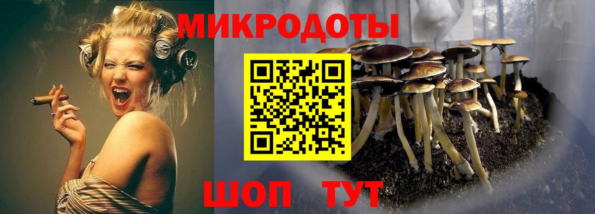 Галлюциногенные грибы мухоморы  Вход с VPN  Павловский Посад 